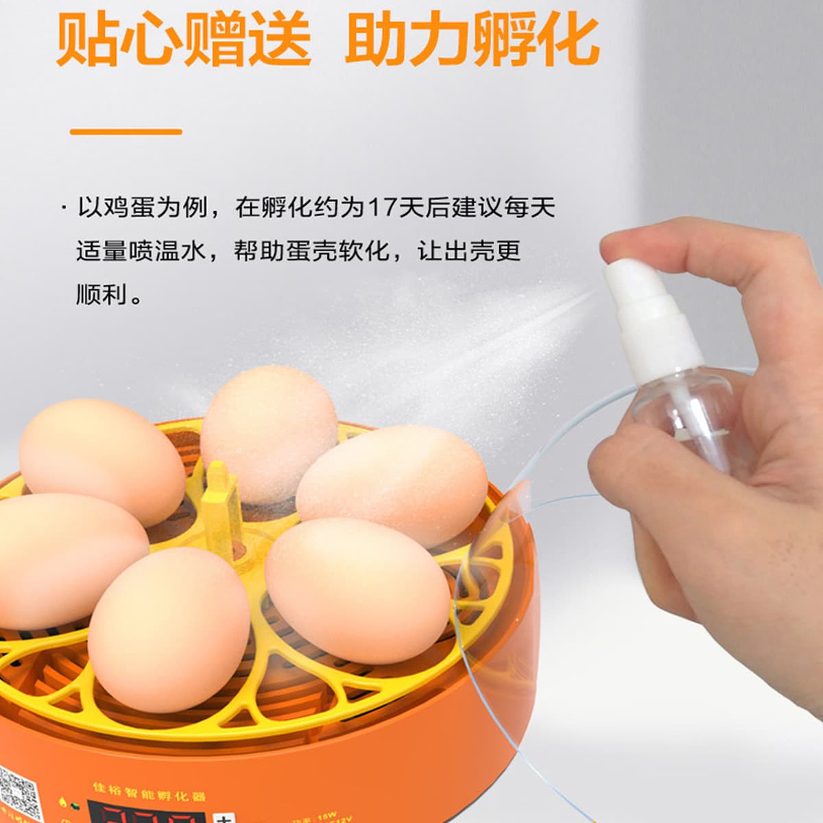 Инкубатор для яиц, научно-образовательный, для внешней торговли, малый, детский, умный, полностью автоматический
