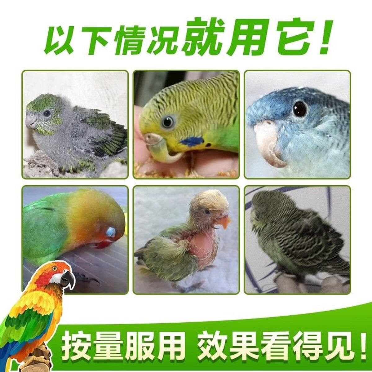 Витаминный кальций для птиц, водорастворимая добавка кальция для попугаев, жидкий порошок кальция, тигровая кожа, пион,...