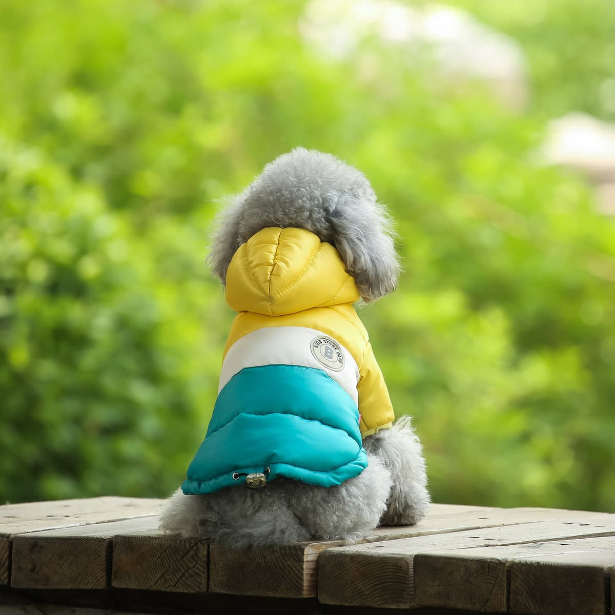 Зажим для лошади для домашних животных Товары для домашних животных Зимняя одежда Утолщенное двухногое хлопковое пальто...