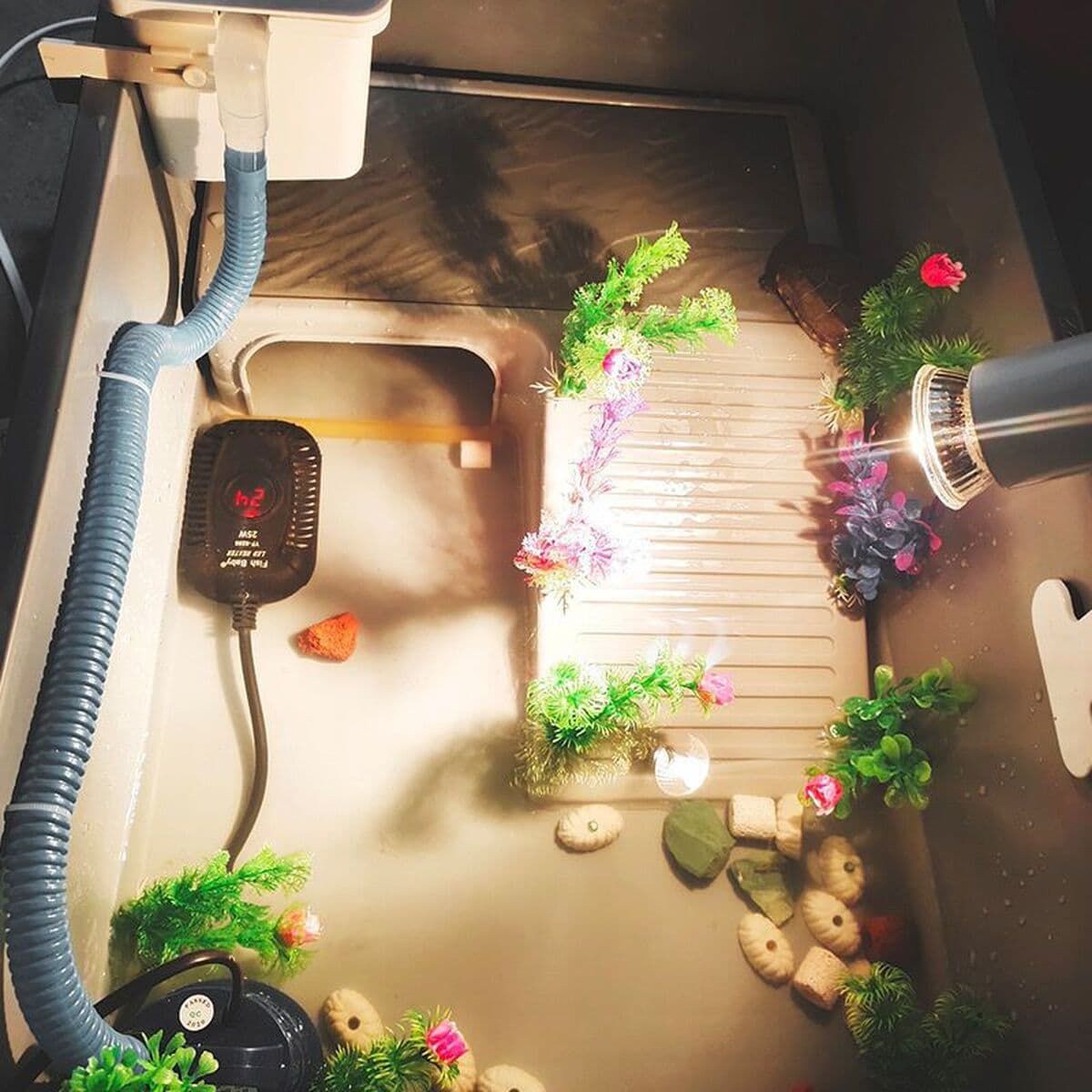 Пластиковый ящик для черепах с террасой, открытый пластиковый ящик для черепах, большой ящик для разведения черепах