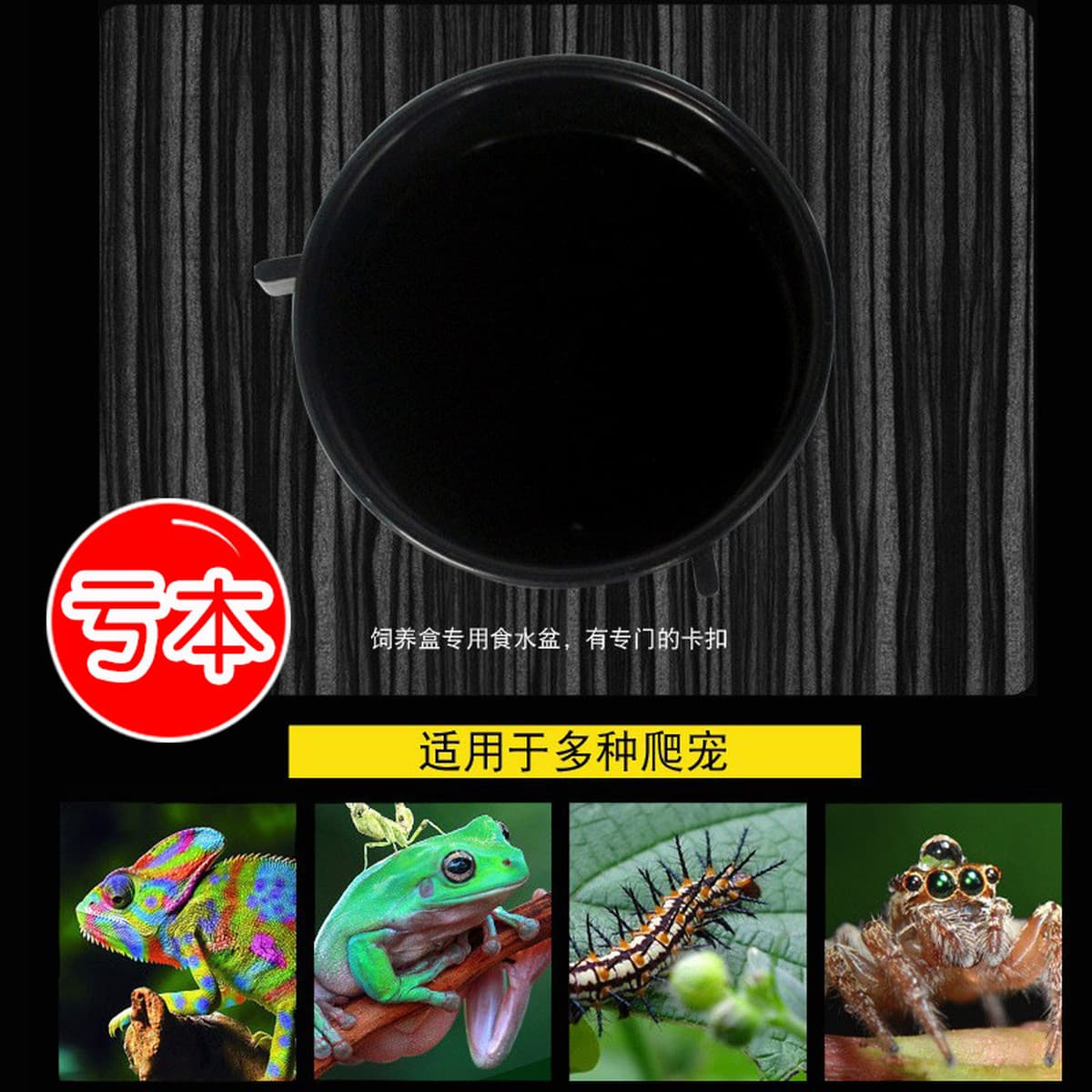 Коробка для рептилий фиксированная тазик для воды Маленькие домашние животные хомяки миска для еды