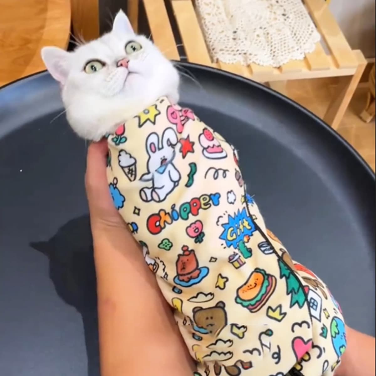 Ткань для упаковки кошек, ткань для кошек, фиксированная сумка для домашних животных, защита от царапин, защита от укусов,...