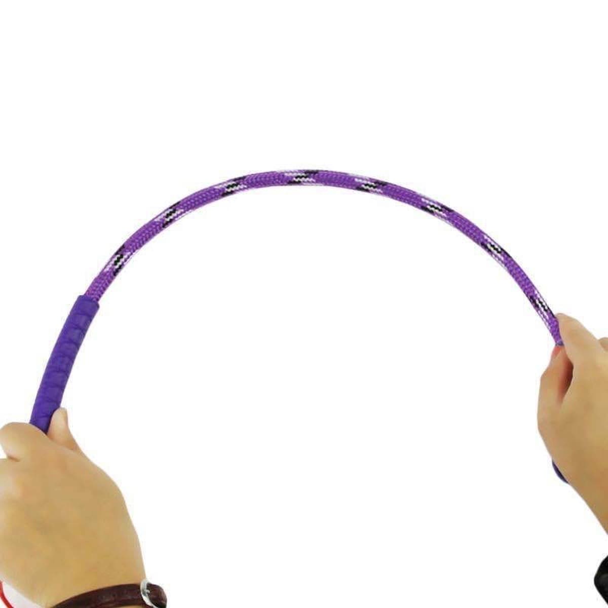 Домашние животные собаки любят стрелять, не причиняя вреда собаке