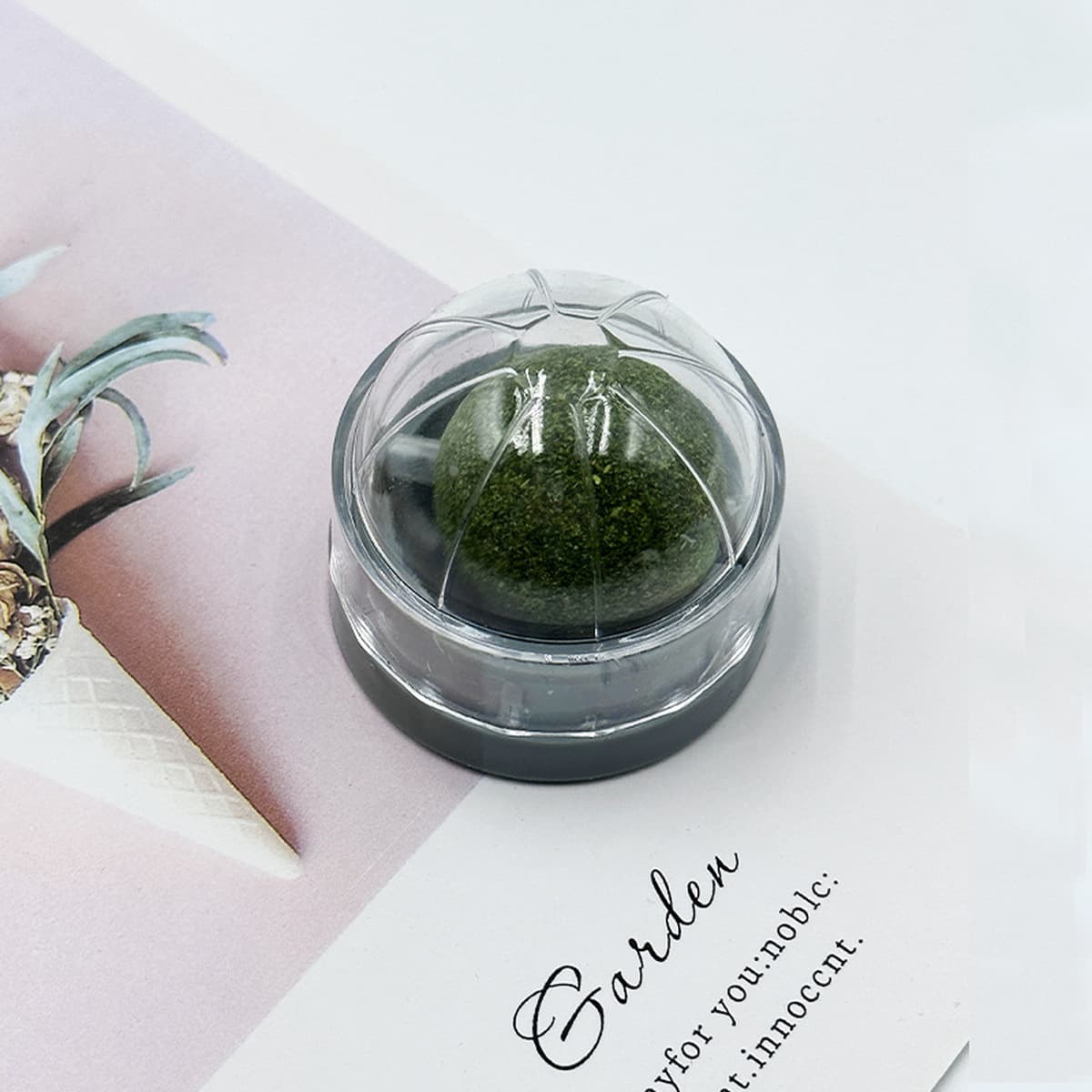 Игрушки для кошек: мячик с кошачьей мятой, палочка для прорезывания зубов, игрушки для самостоятельных игр, игрушки для...