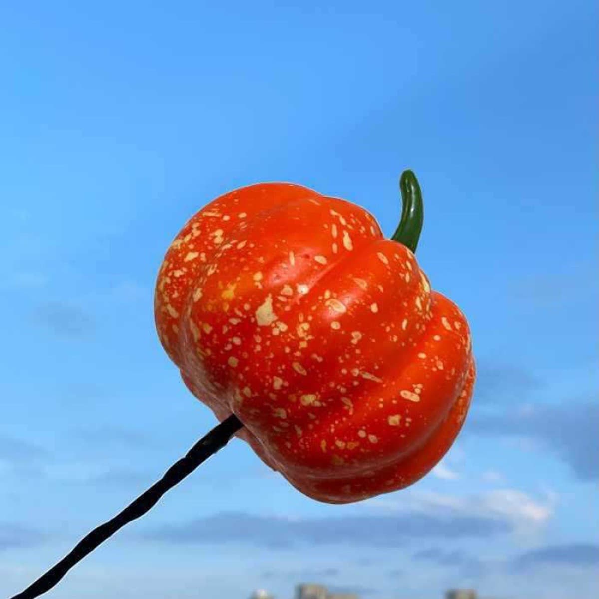 Декоративная внешняя антенна для автомобиля: милый мультяшный фигурка-кактус в стиле фуди для модификации крыши автомобиля