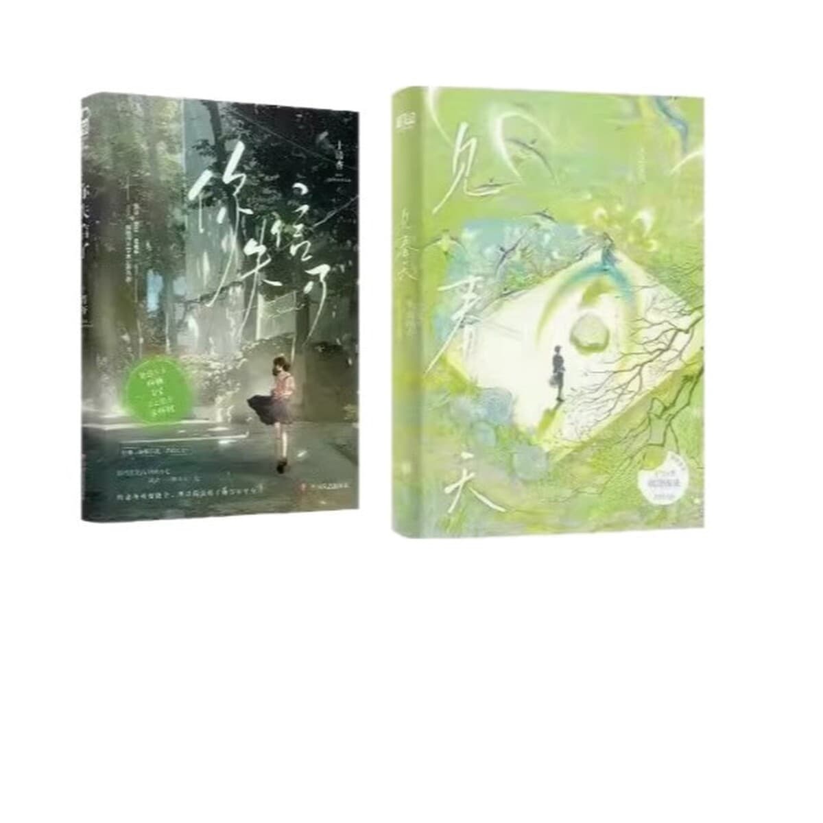 Романтическая повесть «Красота кампуса» Наша весна + Ты нарушил свое обещание Два тома, купленные по всему школьному зданию