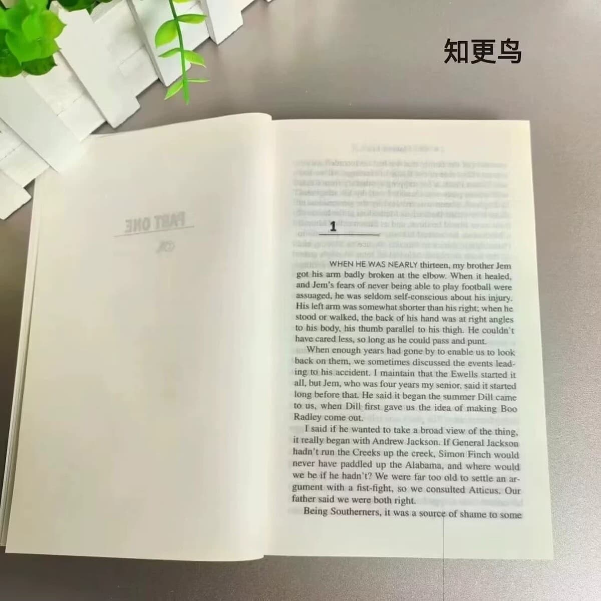 Американская книга «Убить пересмешника» Студенты «Убить пересмешника» читают романы