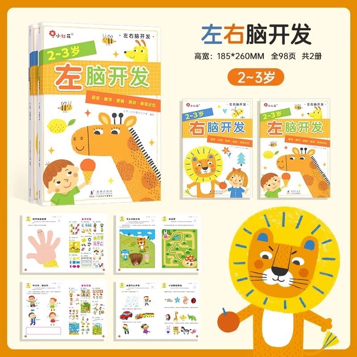 Учебная книга по логике мышления 2-3-4-6 лет 5 головоломок дошкольное обучение