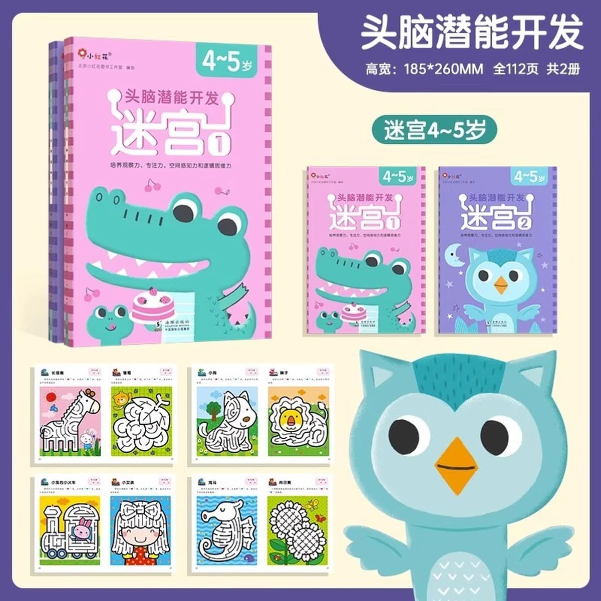 Учебная книга по логике мышления 2-3-4-6 лет 5 головоломок дошкольное обучение