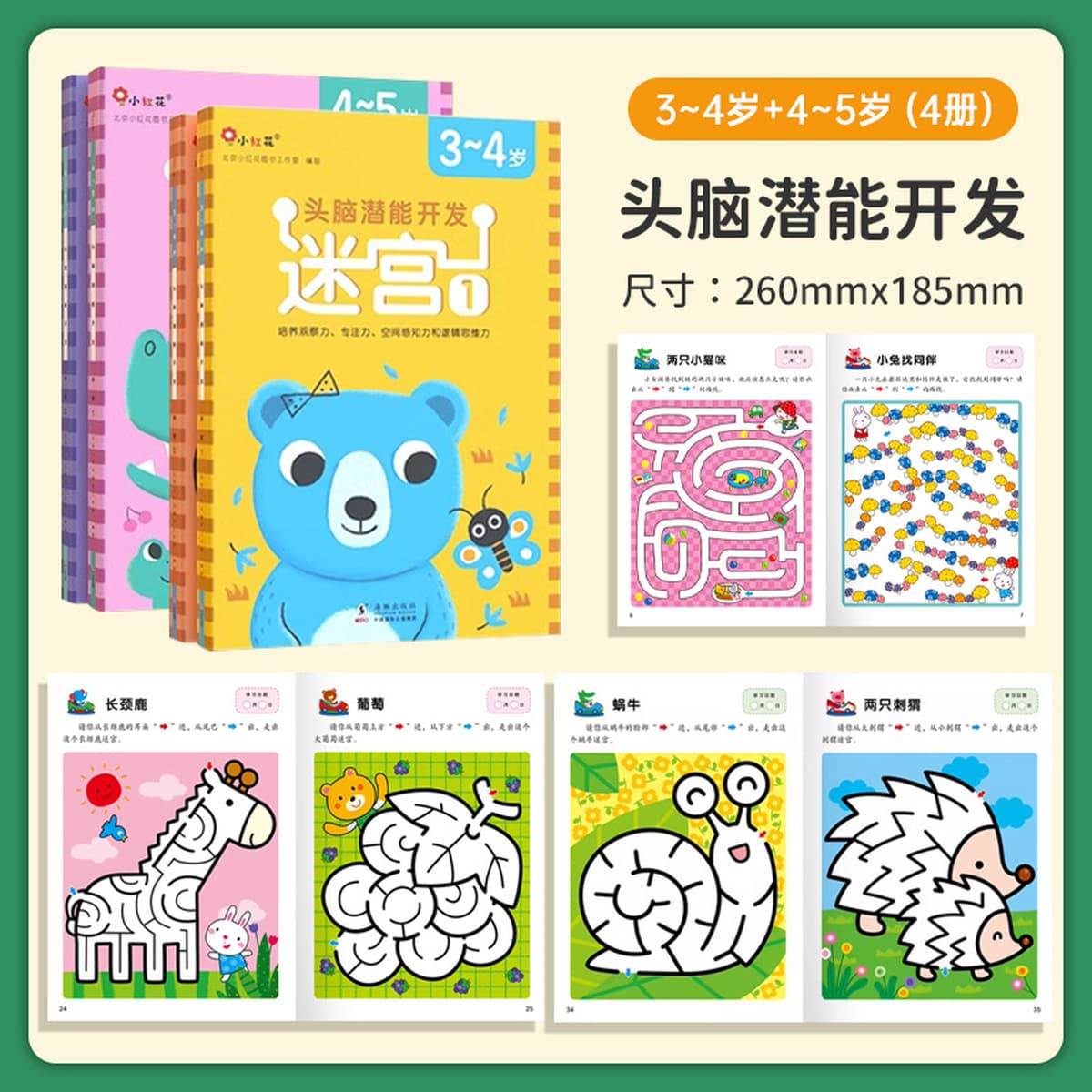 Учебная книга по логике мышления 2-3-4-6 лет 5 головоломок дошкольное обучение