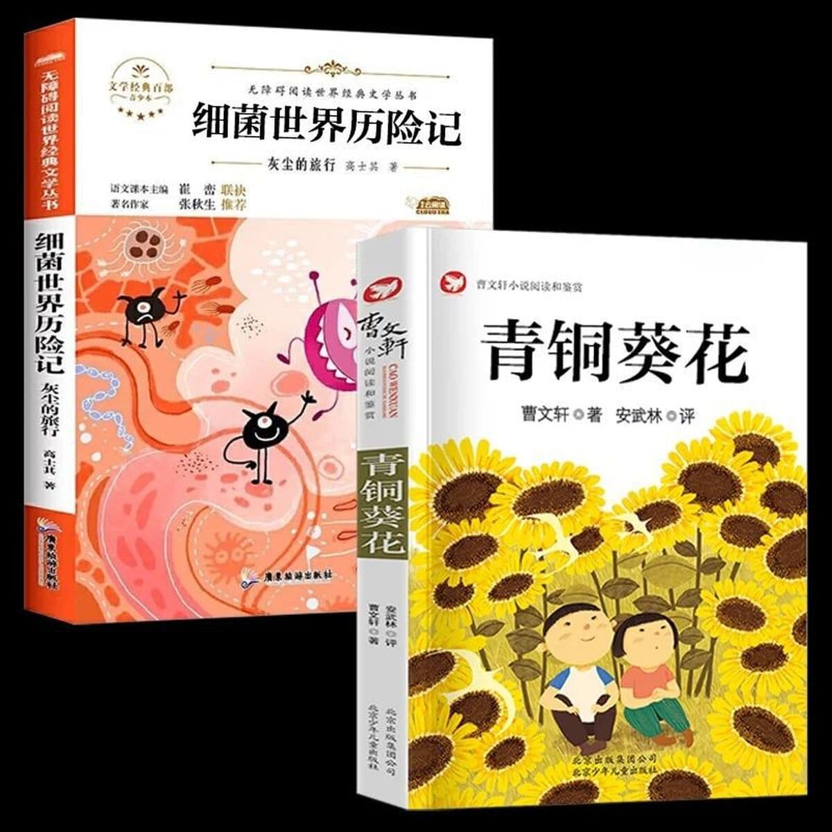 Аутентичный бронзовый домик подсолнуха, оригинальная полная версия секрета волшебной тыквы, четвертый класс, внеклассная...