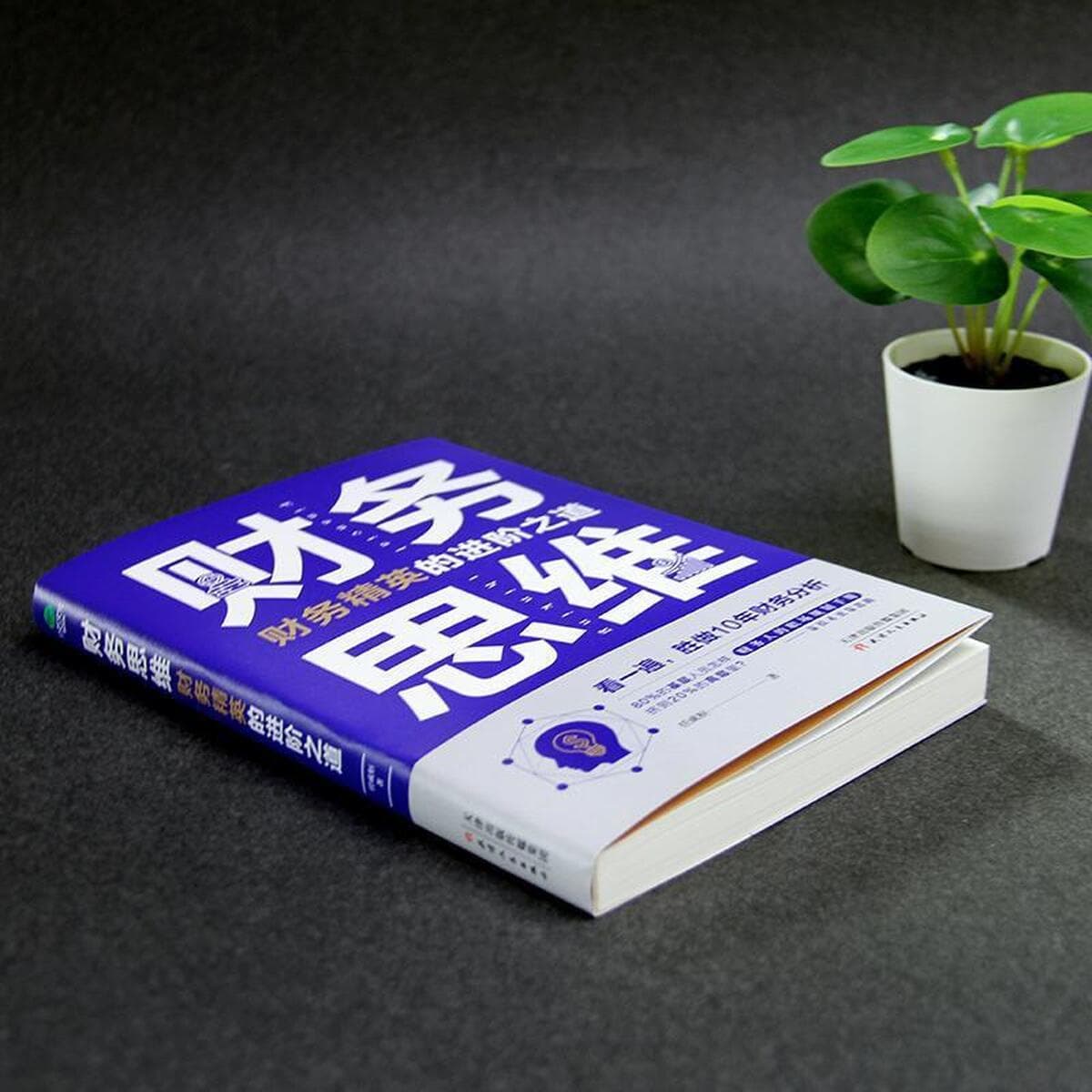 Финансовое мышление. Финансовые люди. Руководство по планированию на рабочем месте. Финансовый менеджер. Подсумки на работу....