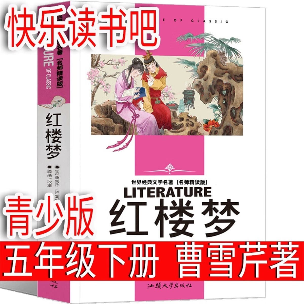 Странный человек Фэн Сикай в пятом классе должен прочитать внеклассную книгу