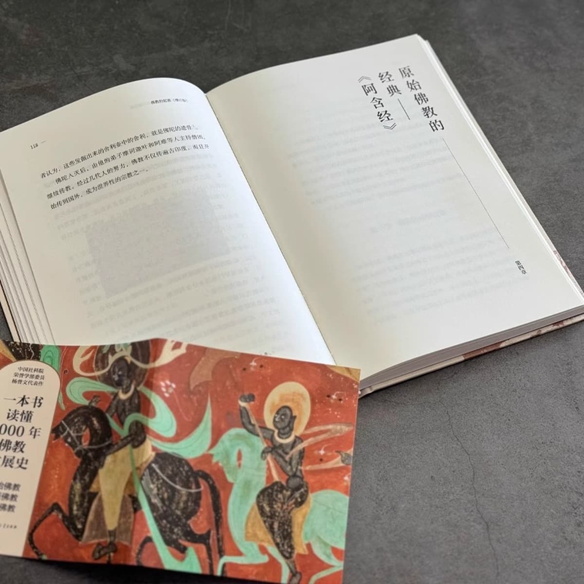 Происхождение буддизма Книга Ян Цзэнвэнь читает историю развития буддизма в 2000 году