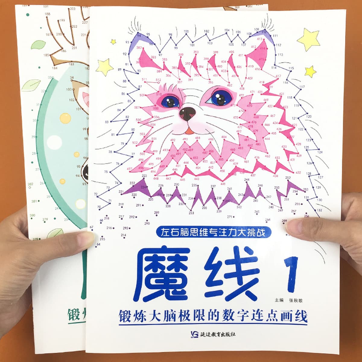 Найти разные тренировки концентрации Иллюстрированная книга 3-4-5-6 лет для маленьких детей логическое мышление большой...