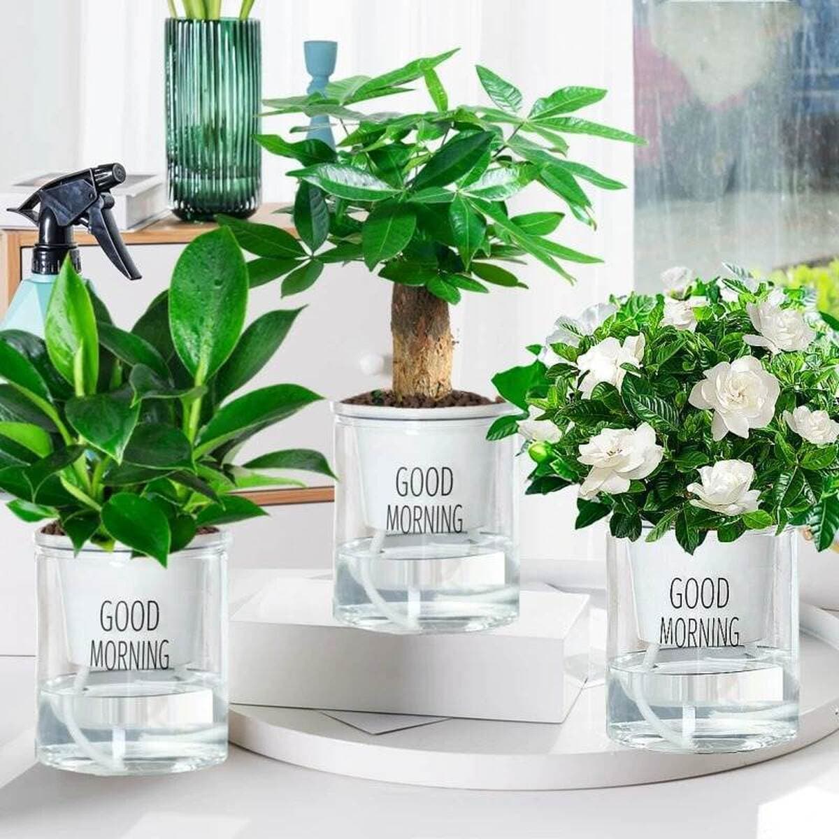 Золотистое растение в горшке, имитирующее платиновый бриллиант, с крупными зелеными листьями, гидропонное, суккулент, легко...