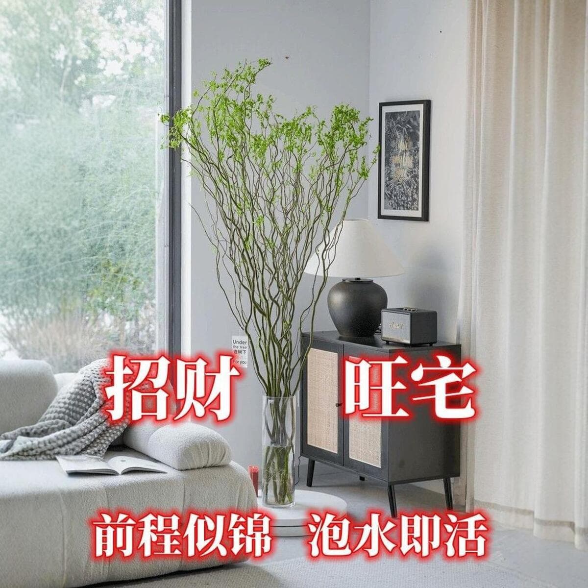 Оптовые гидропонные растения, свежие ветки драконьей ивы, срезанные цветы, зеленые растения, выращенные в воде, снежная ива,...