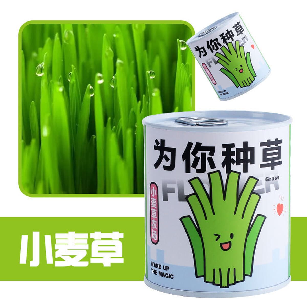 Наборы для выращивания растений в банках, цветы и растения в горшках, подарки для садоводства, выращивание фруктов для...