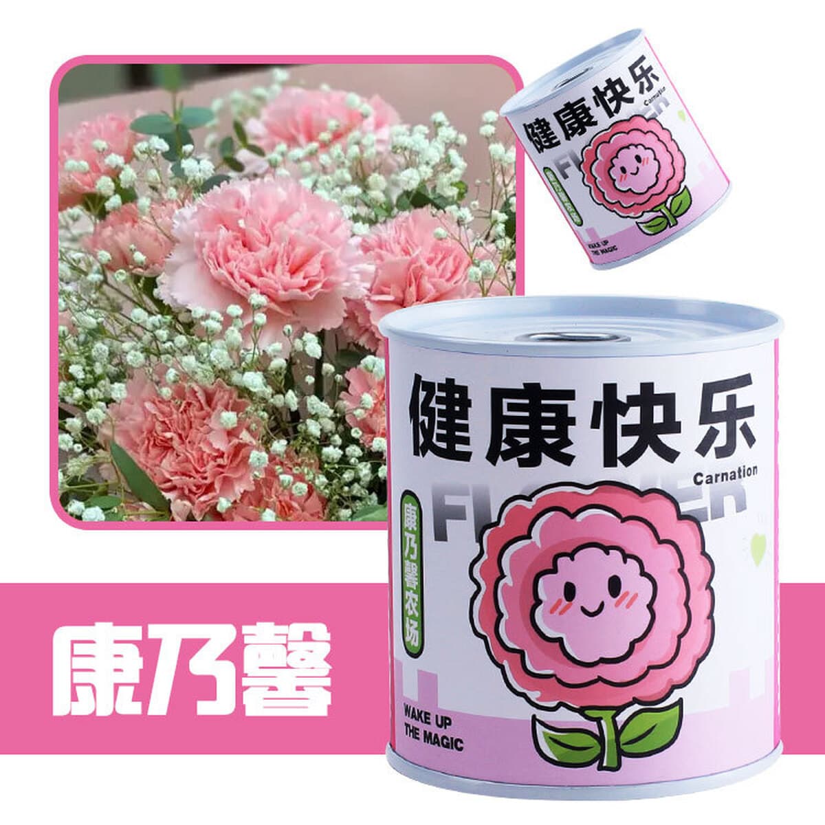 Наборы для выращивания растений в банках, цветы и растения в горшках, подарки для садоводства, выращивание фруктов для...