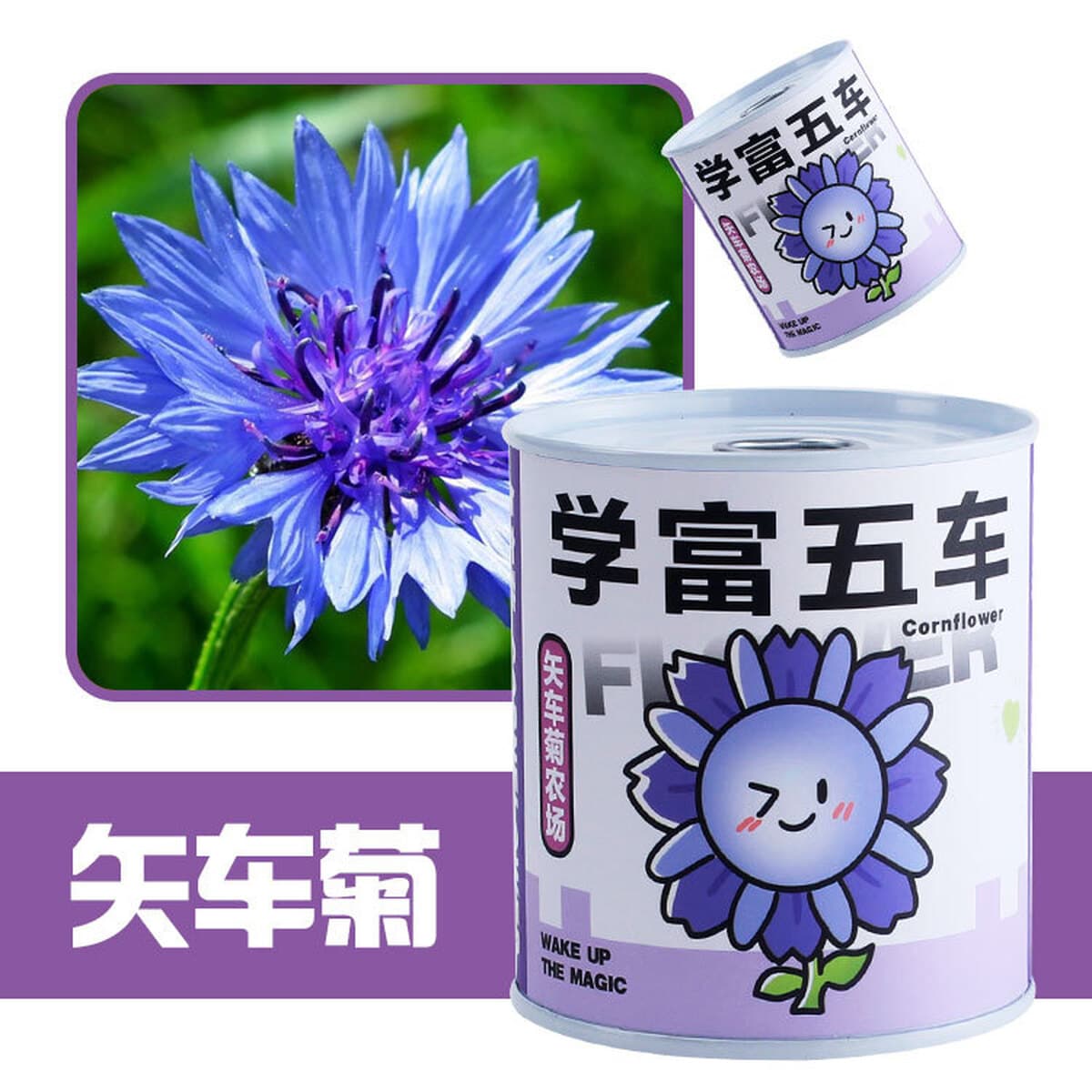 Наборы для выращивания растений в банках, цветы и растения в горшках, подарки для садоводства, выращивание фруктов для...