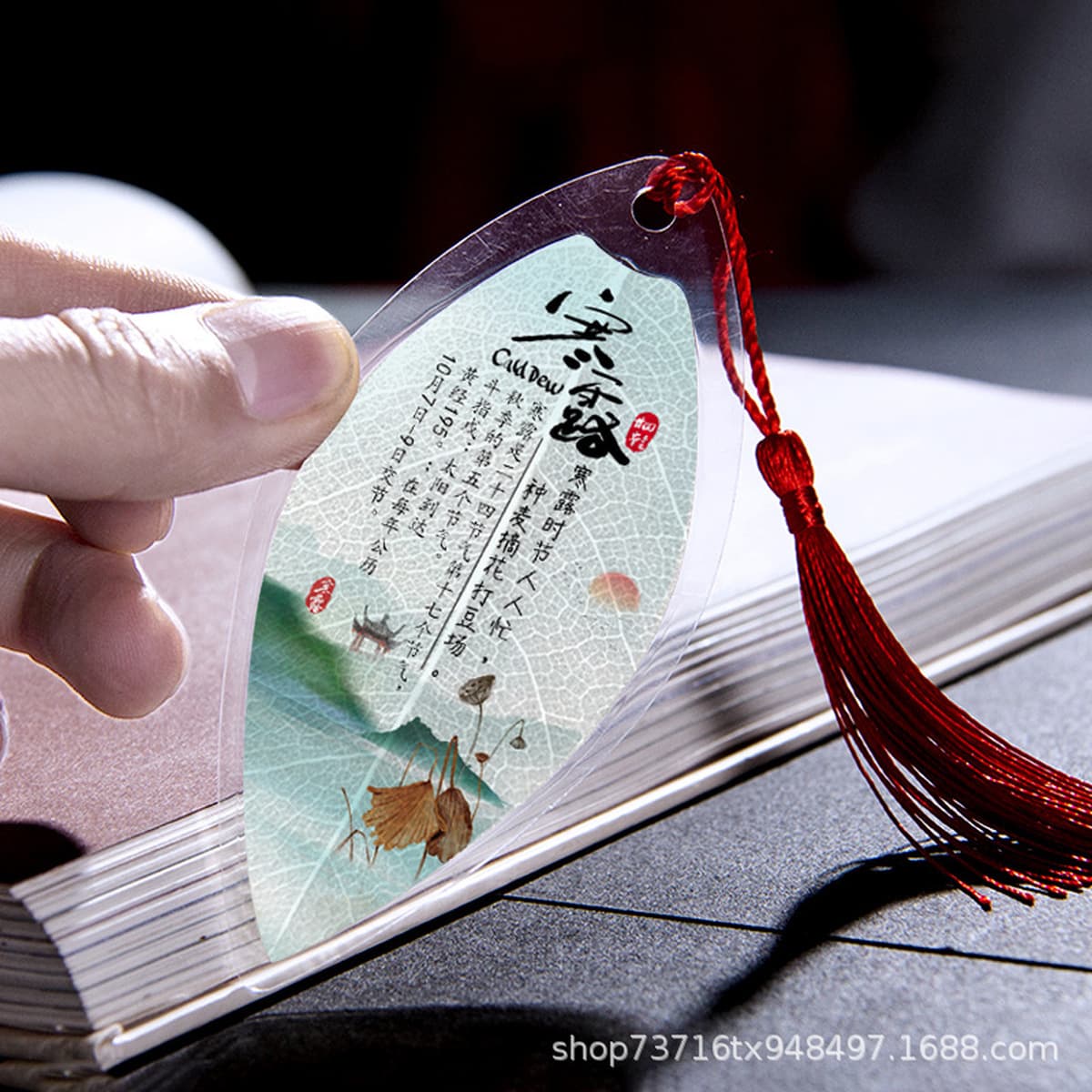 Закладки в китайском стиле с изображением листьев по二十四ому солнечному календарю, настоящие листья, для творчества, подарки...